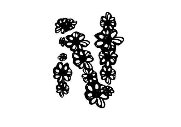 Discover the Versatile Charm of the Mono Letter ‘N’ Floral Flower Letter